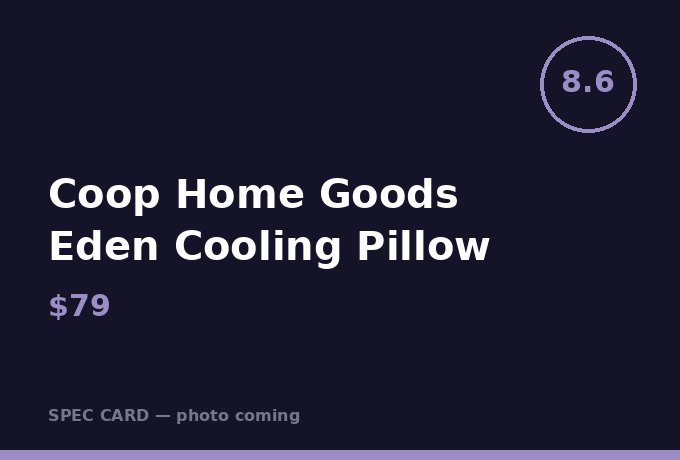 Coop Home Goods Eden Cooling Pillow